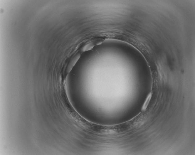 X0000073730649200608101931