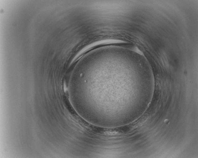 X0000073730650200608101931