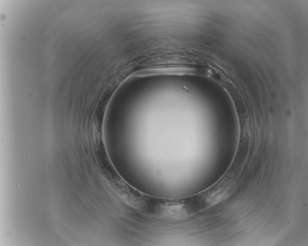 X0000073730651200608101931