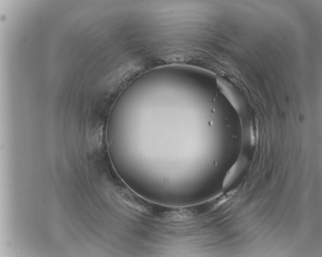 X0000073730652200608101931