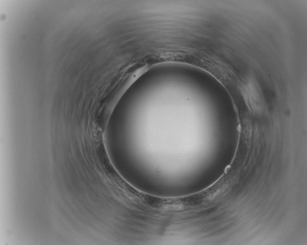 X0000073730653200608101931