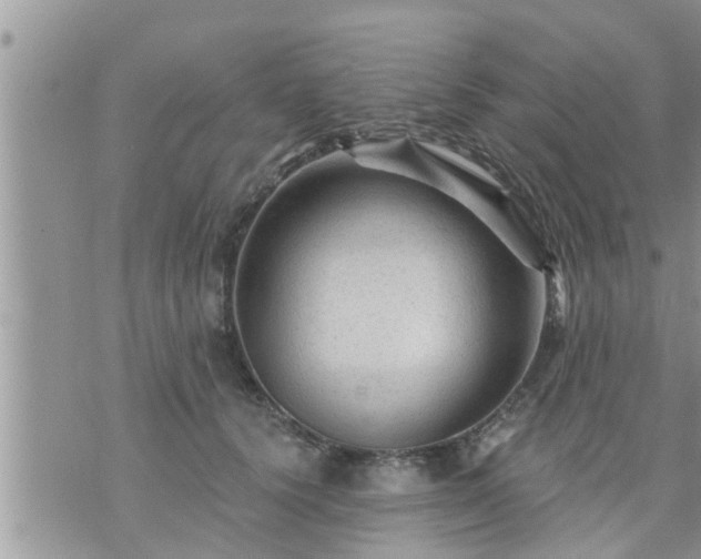 X0000073730656200608101931