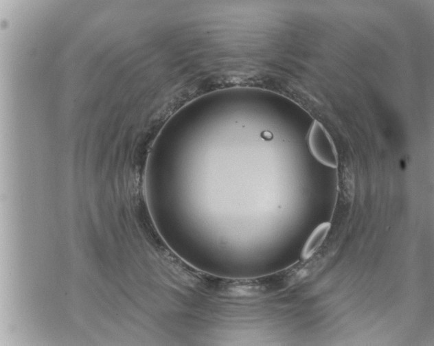 X0000073730657200608101931