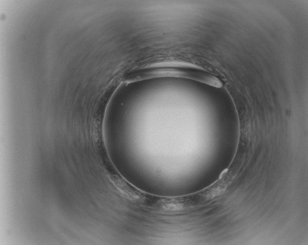 X0000073730658200608101931