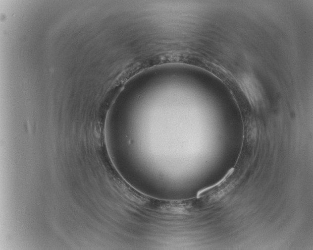 X0000073730661200608101931