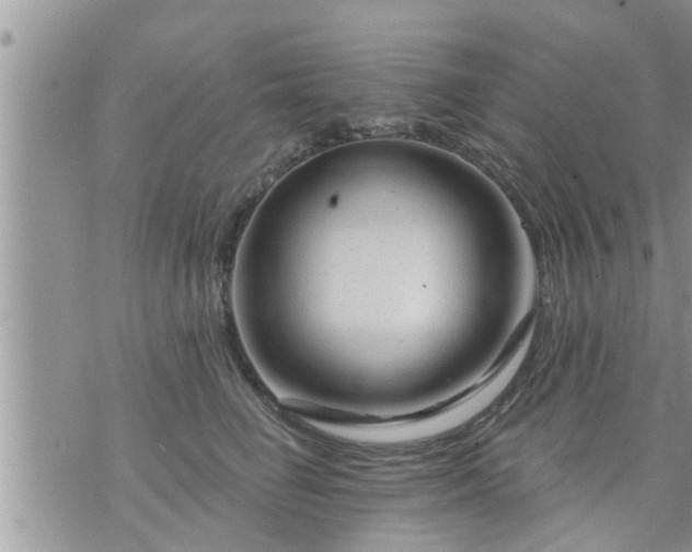 X0000073730662200608101931