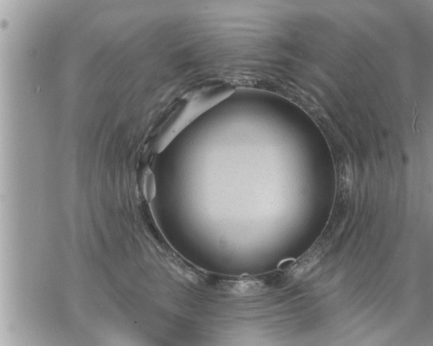 X0000073730663200608101931