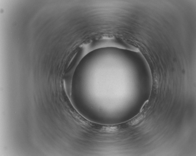 X0000073730665200608101931