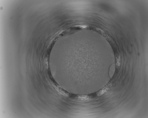 X0000073730666200608101931