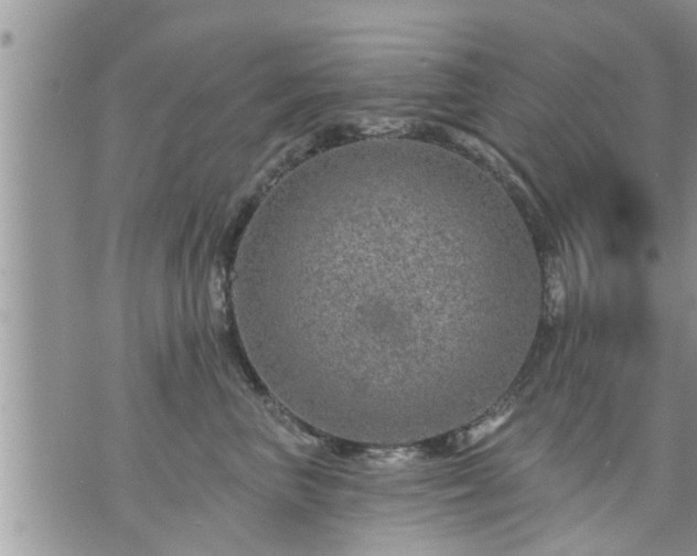 X0000073730667200608101931