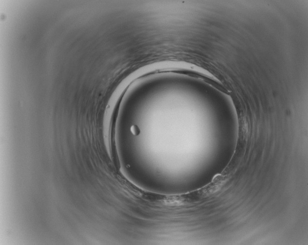 X0000073730668200608101931