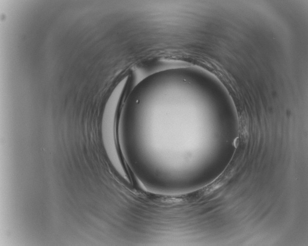 X0000073730669200608101931