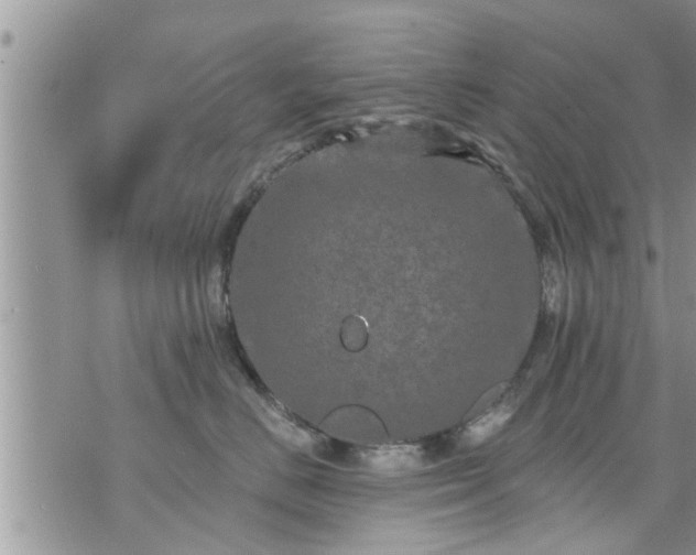 X0000073730670200608101931