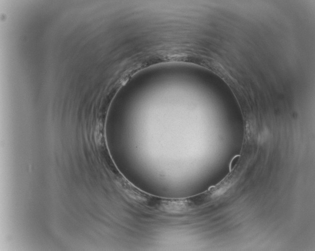 X0000073730671200608101931