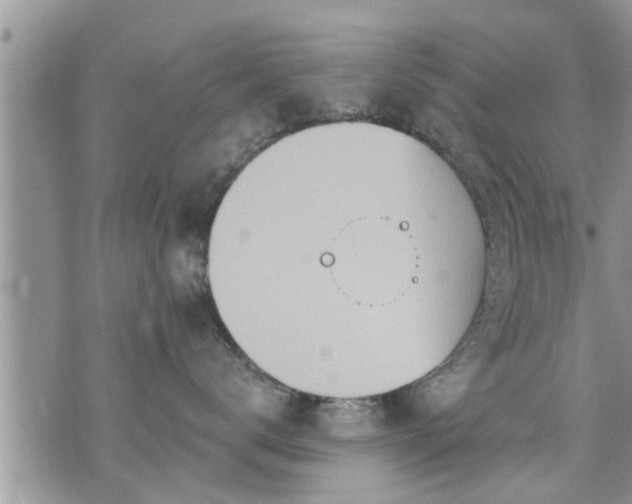 X0000073730672200608101931