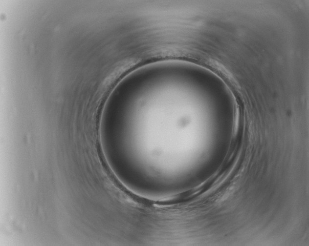 X0000073730673200608101930