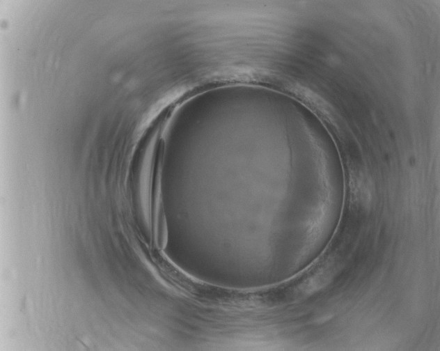 X0000073730674200608101930