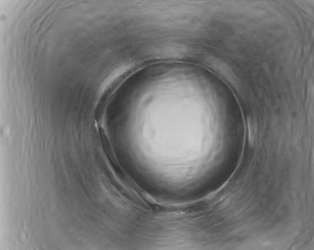 X0000073730675200608101930