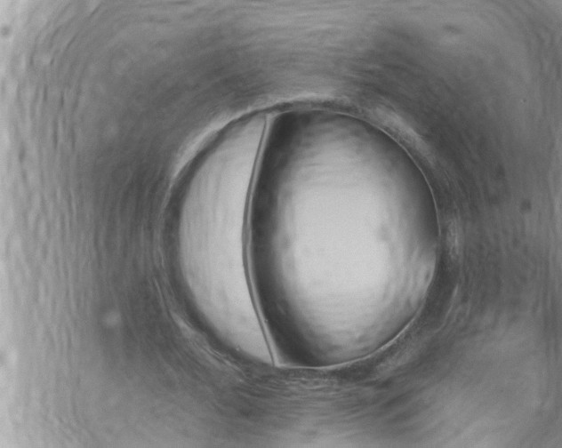 X0000073730676200608101930