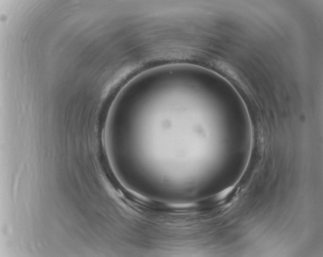 X0000073730677200608101930