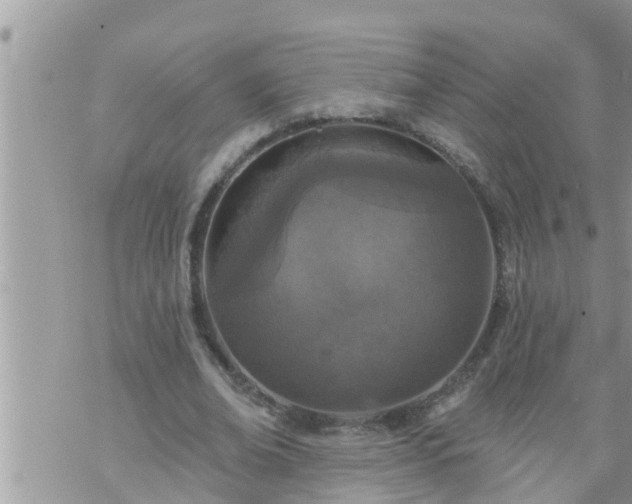 X0000073730678200608101930