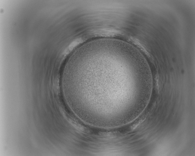 X0000073730679200608101930