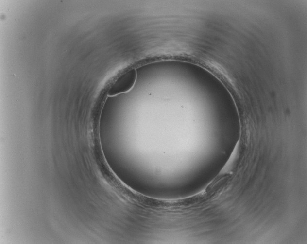 X0000073730680200608101930