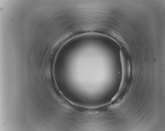 X0000073730681200608101930