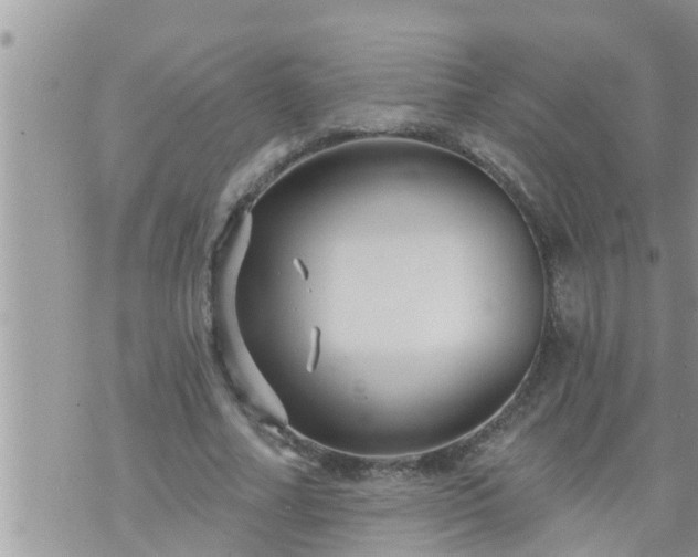 X0000073730682200608101930