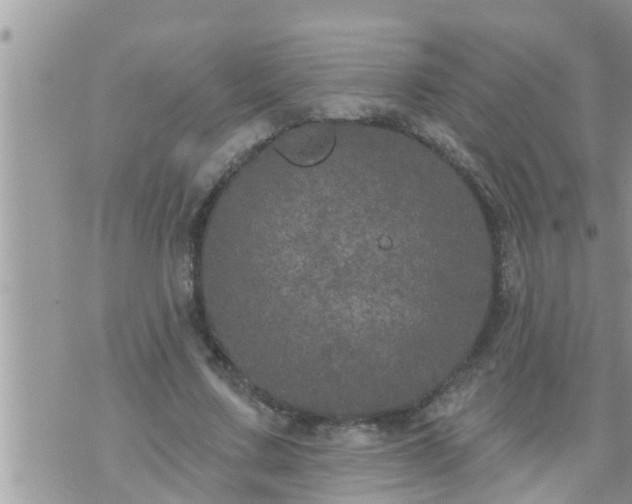 X0000073730683200608101930