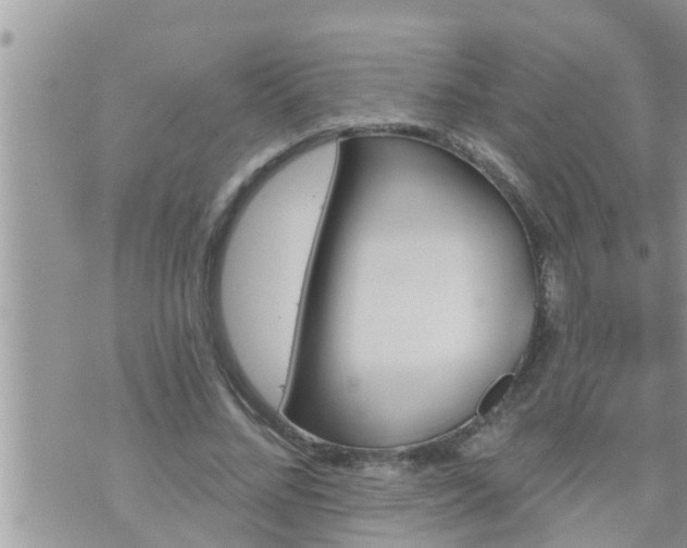 X0000073730684200608101930