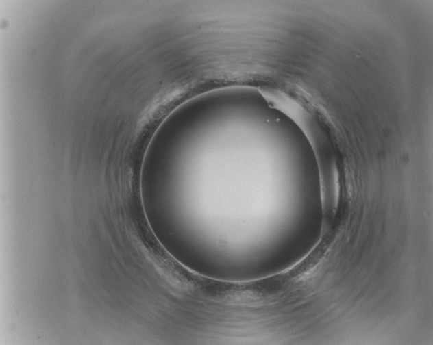 X0000073730685200608101930