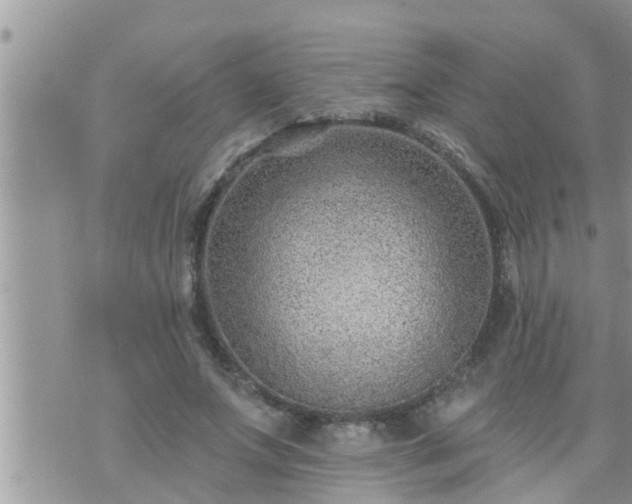 X0000073730687200608101930