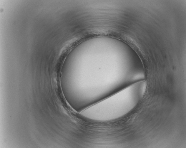 X0000073730688200608101930