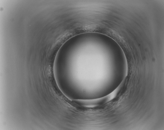 X0000073730689200608101930