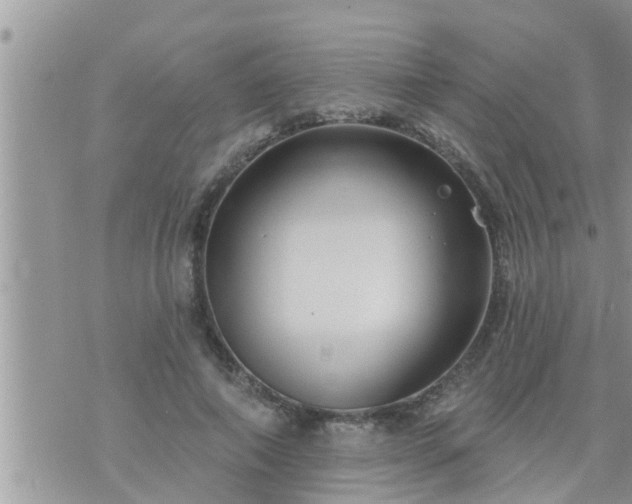 X0000073730690200608101930