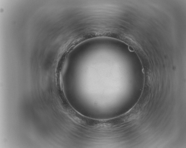 X0000073730691200608101930