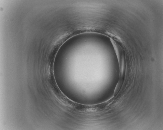 X0000073730692200608101930