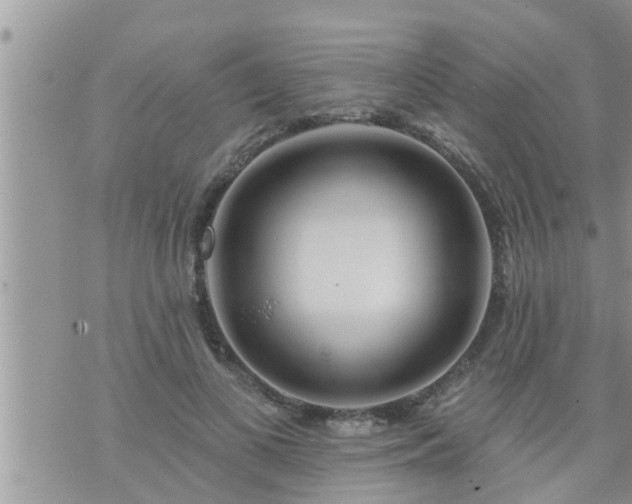 X0000073730693200608101930