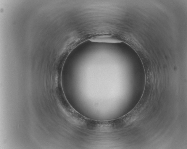 X0000073730694200608101930