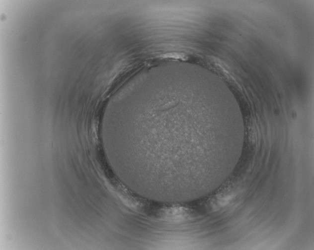 X0000073730695200608101930