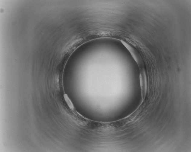 X0000073730696200608101930