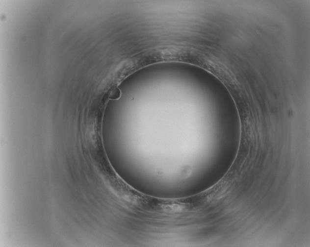 X0000073730698200608101930