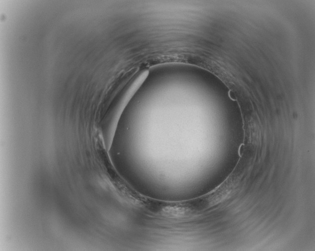 X0000073730699200608101930