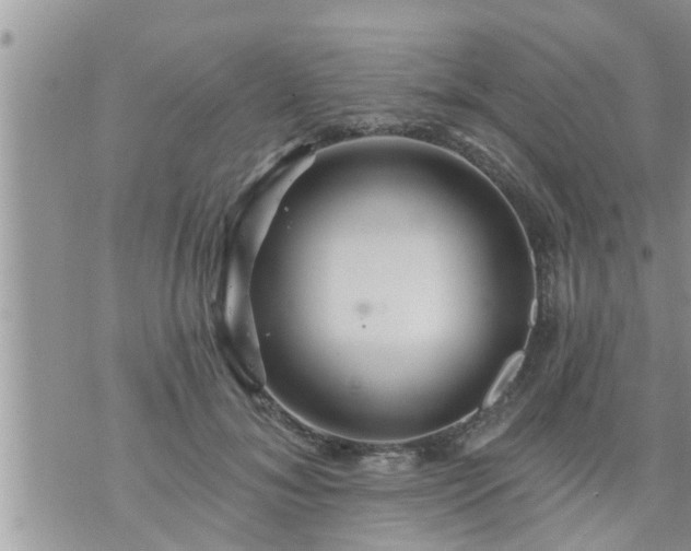 X0000073730700200608101930