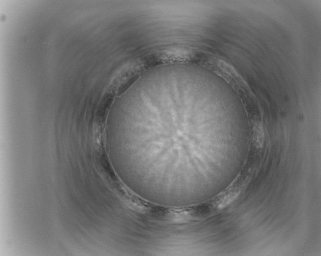 X0000073730701200608101930