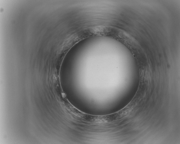 X0000073730702200608101930