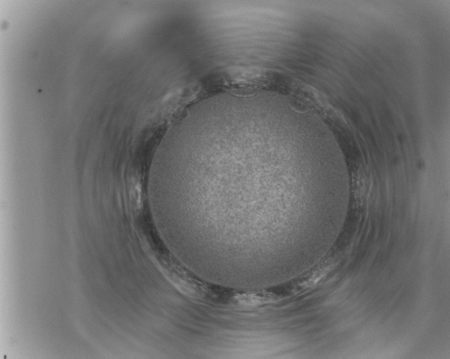 X0000073730703200608101930