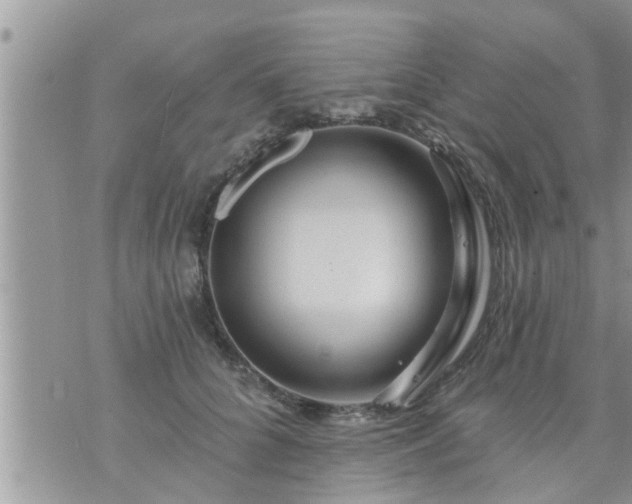 X0000073730704200608101930