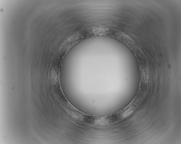 X0000073730705200608101930